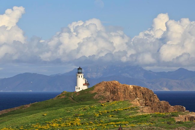 Channel Islands National Park And Anacapa Lightstation