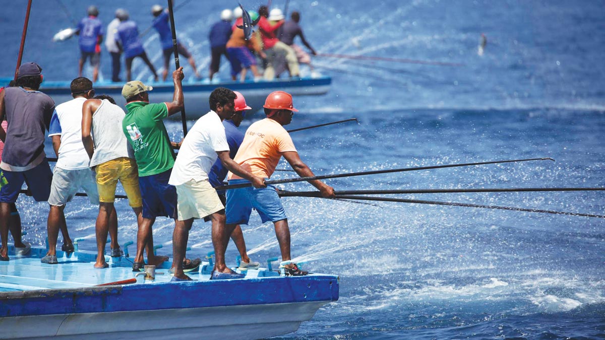 fishermen with long poles on flat boats tuna fishing