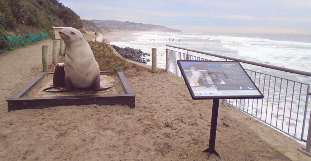 New Zealand SeaLion Sculpture