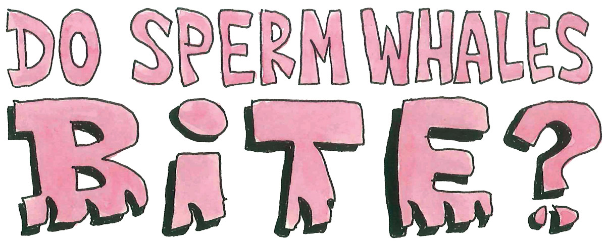 Sperm Whale Words