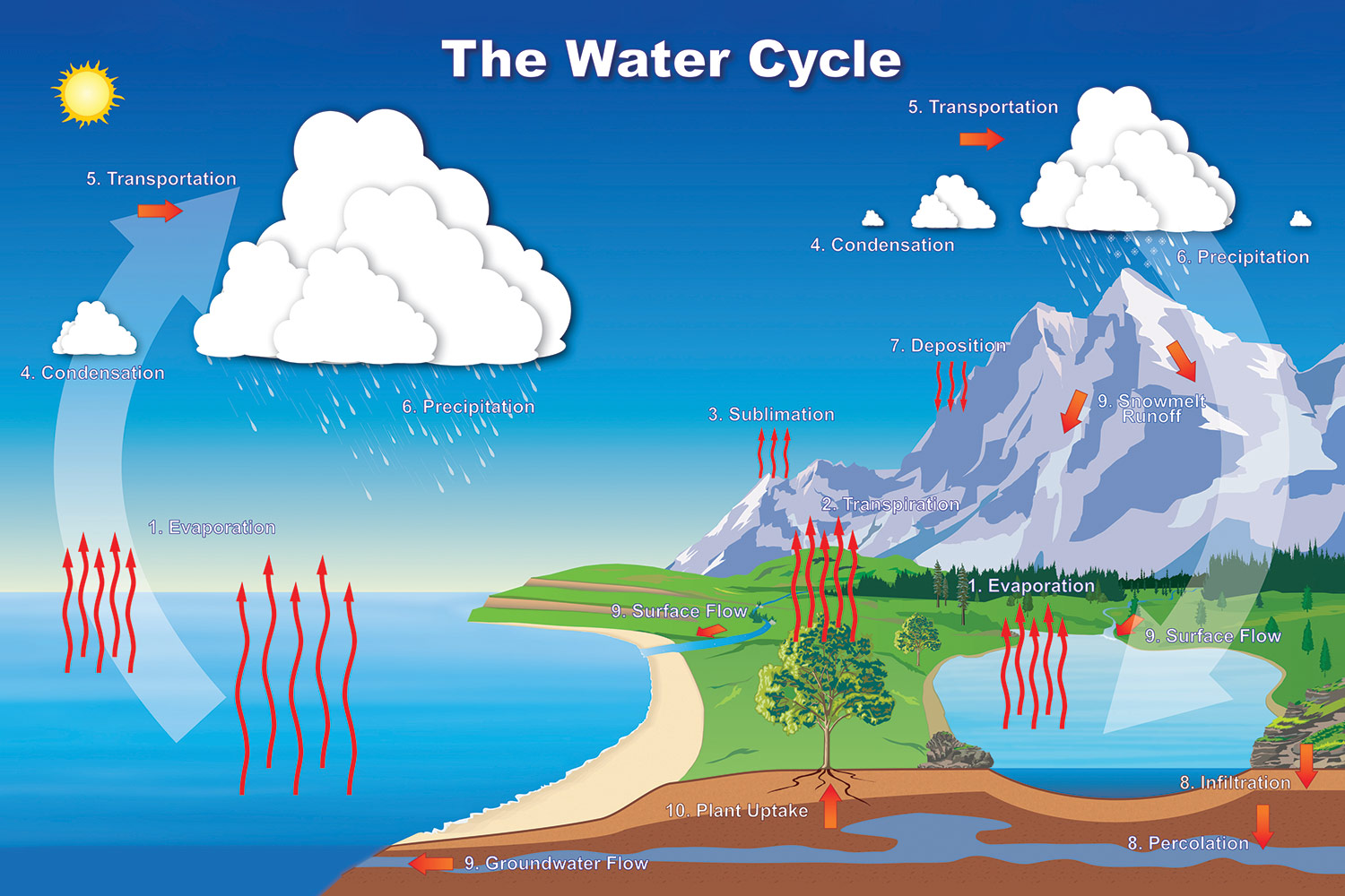 representation of the water