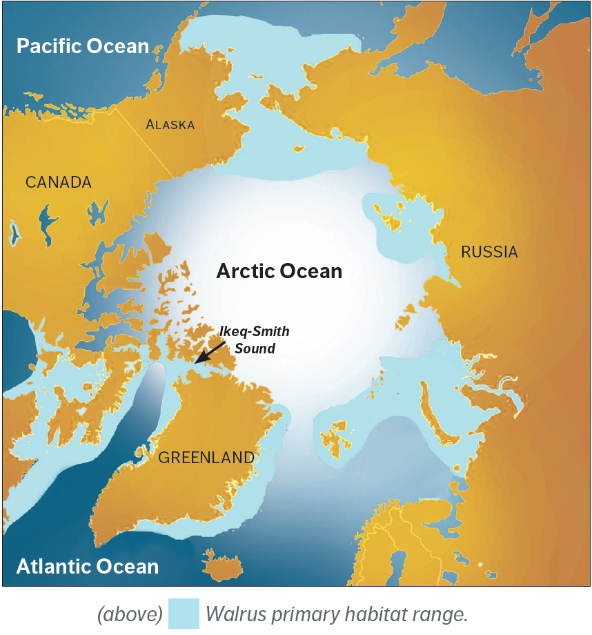 map of walrus habitat range